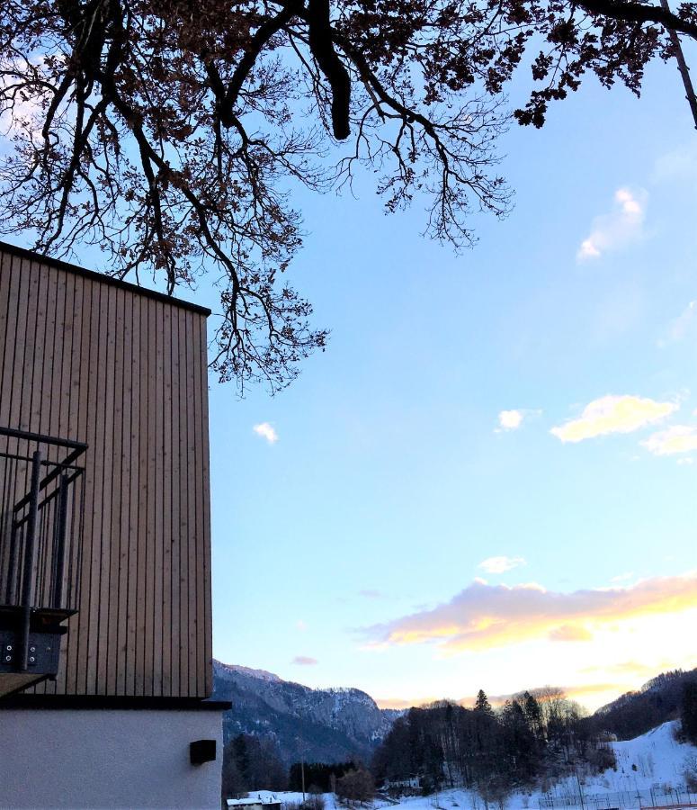 Kampenzeit Loft Mit Traumhaftem Panoramablick Apartment Aschau im Chiemgau Exterior photo